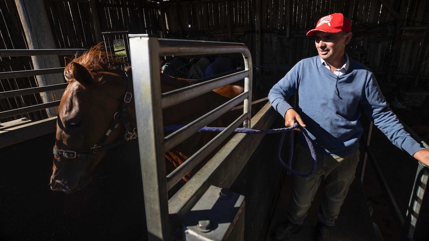 Horse trainer in a shed with a horse