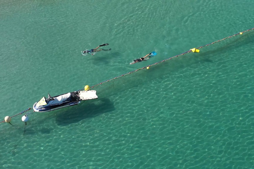 Drone view of swimmers in blue-green ocean alongside rope and small vessel.