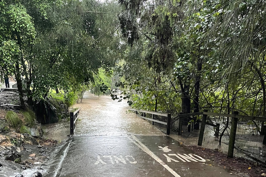 Water covers a walking path.