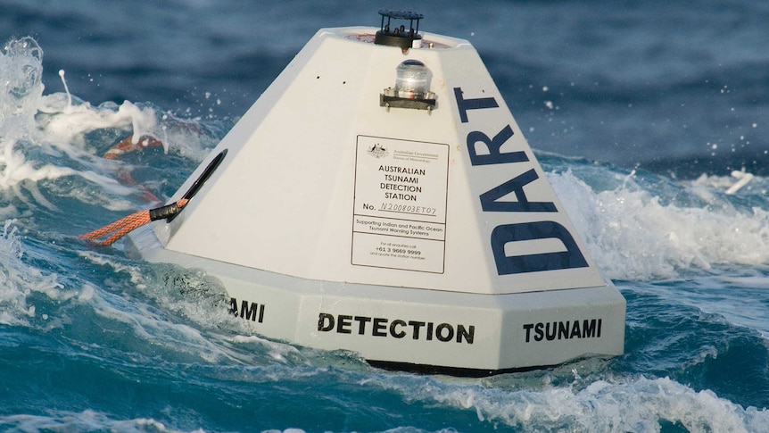 Tsunami monitoring buoy