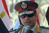 Egypt's army chief General Abdel Fattah al-Sisi addresses Egyptians last year