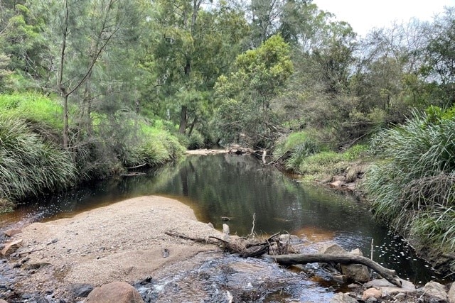 A rocky bit of a bushland near a waterway.