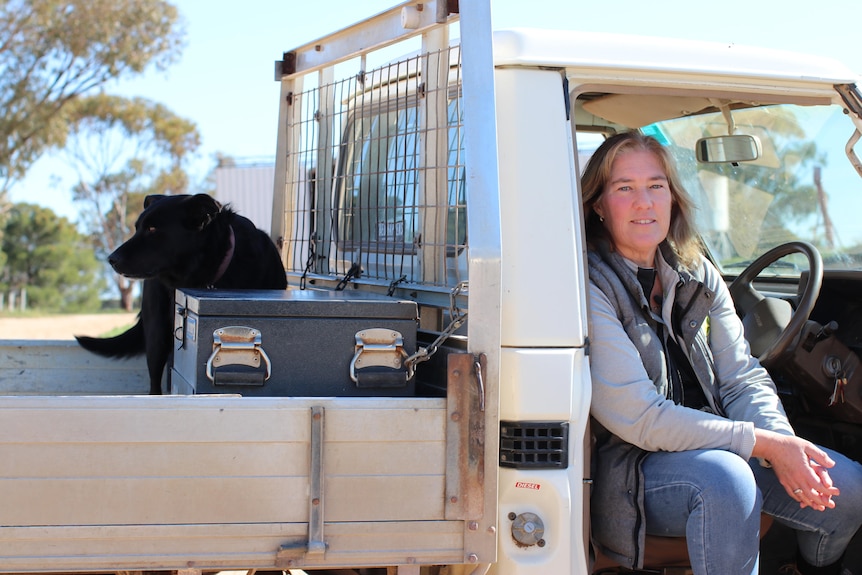 A woman sits in her ute with the door open, while a black dog sits in the back