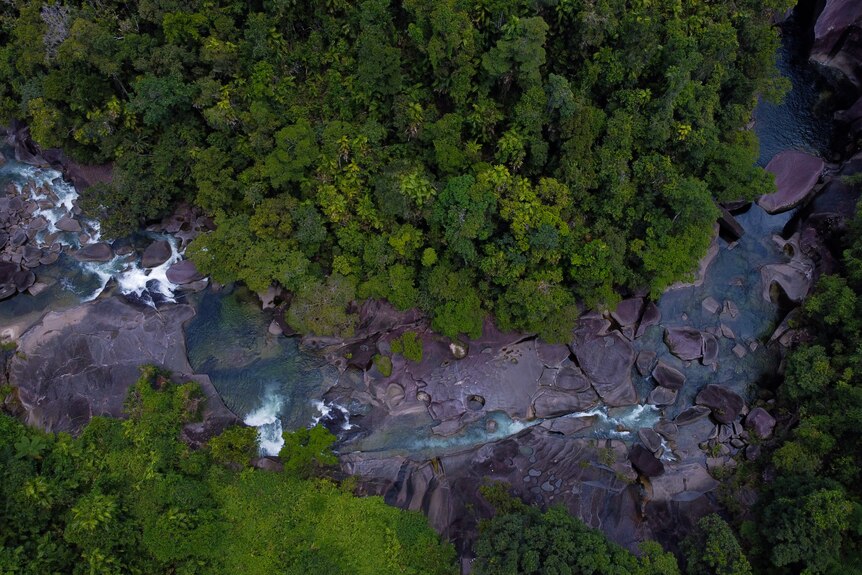 an aerial view of a creek making its way through a rocky channel surrounded by tropical plants