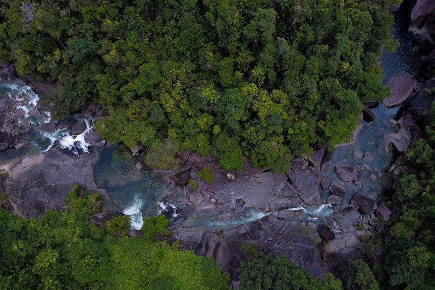 an aerial view of a creek making its way through a rocky channel surrounded by tropical plants