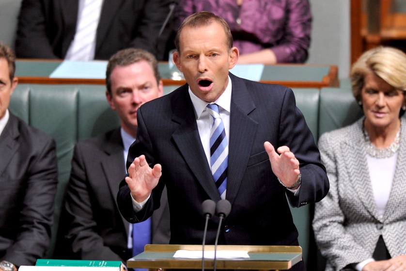 This mindless and destructive negativity will only get Tony Abbott so far (AAP)