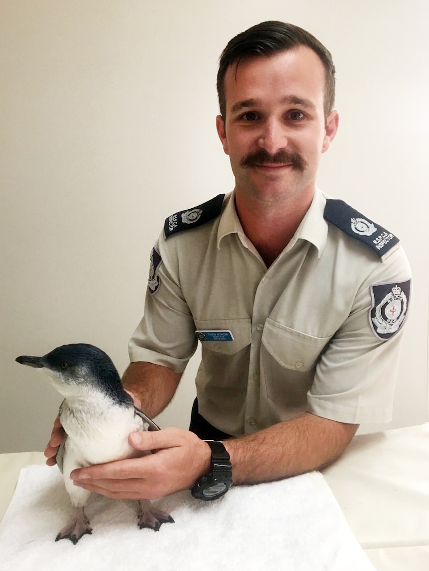 A man looks at the camera, clutching a penguin.