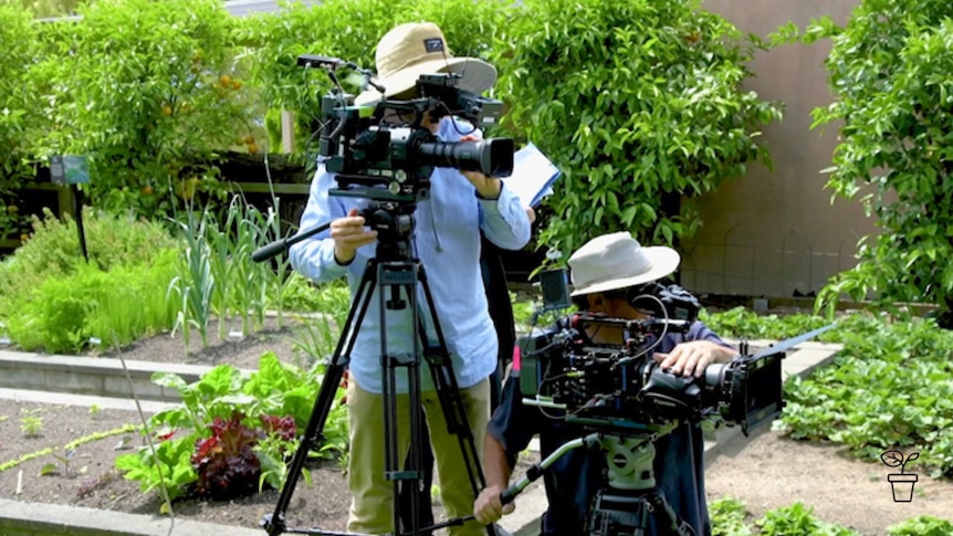 Two cameramen filming in a garden