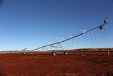 One of the Hamersley Agricultural Project irrigation pivots under construction
