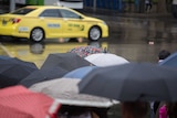 Lots of raised umbrellas with a yellow taxi in the background