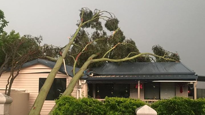 A tree smashes into a house in Goodna, south-west of Brisbane.