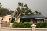 A tree smashes into a house in Goodna, south-west of Brisbane.
