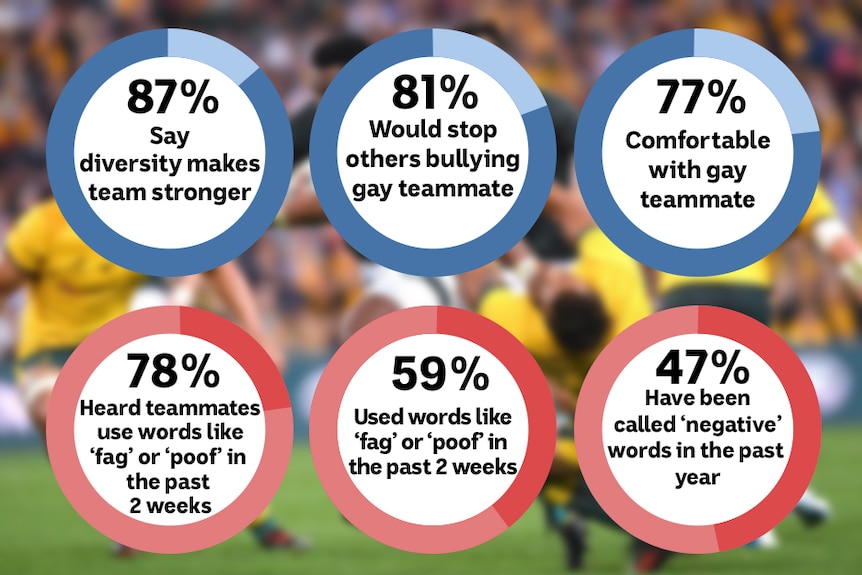 Graph with key points and percentage values on various anti-homophobic language use