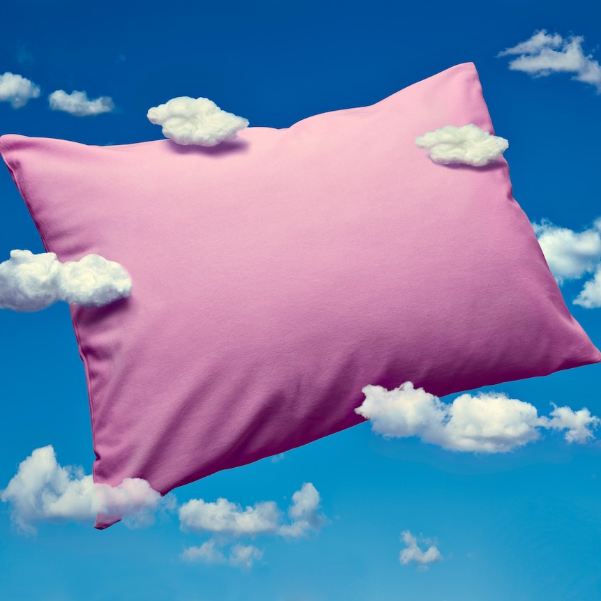 An artwork of a pink pillow amongst a blue sky with fluffy white clouds.