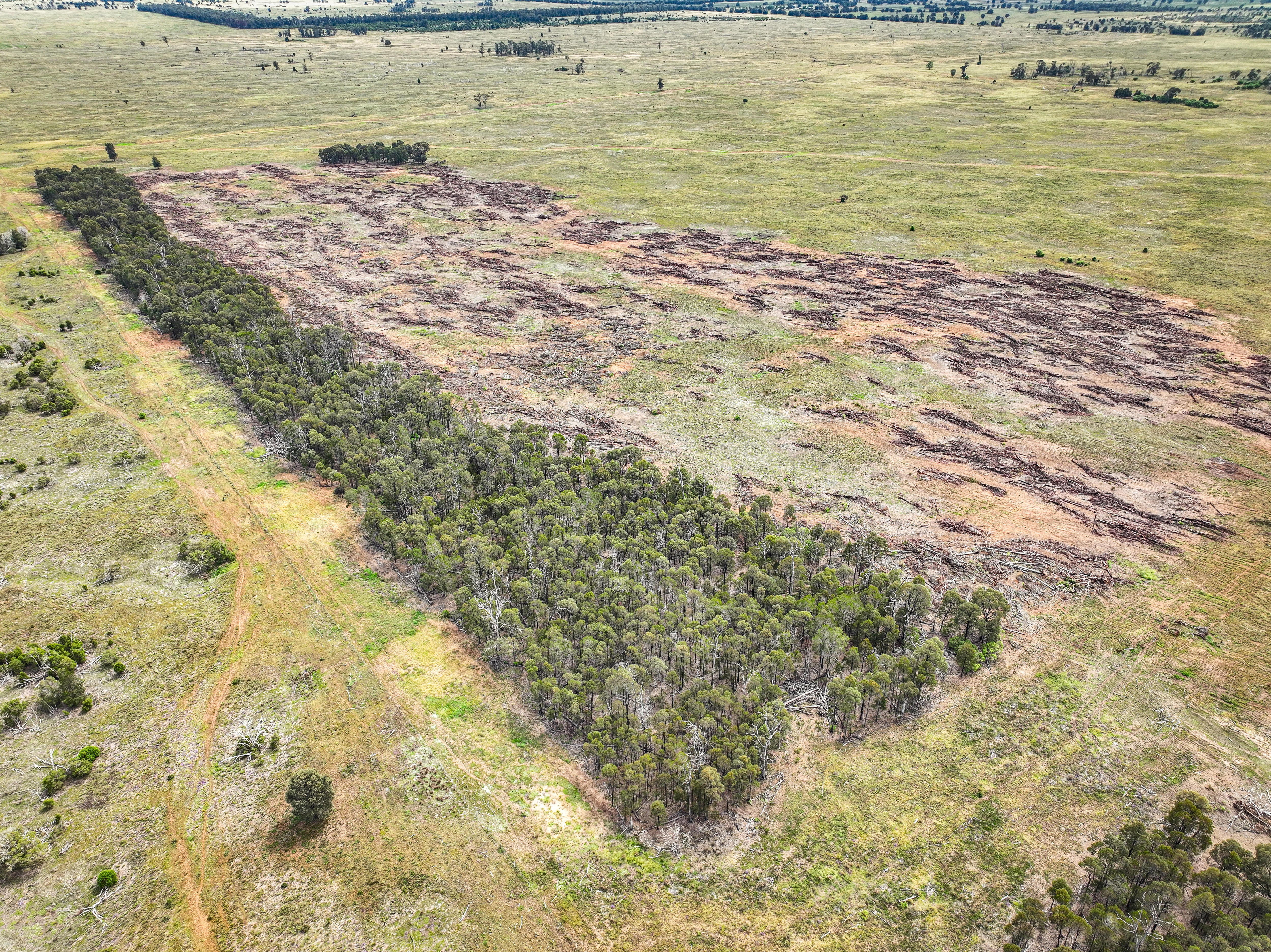 Durong land clearing