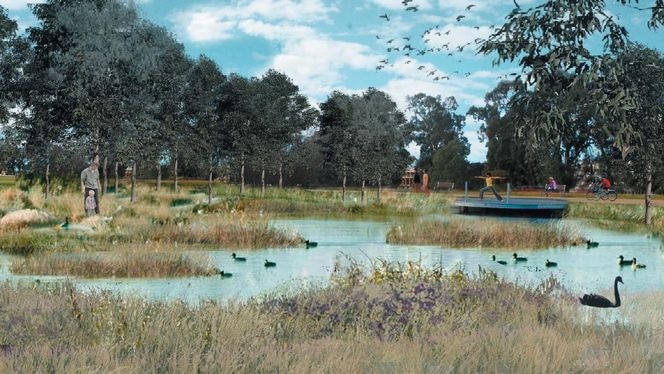 image of wetlands, grass in foreground, water with swans and trees in background