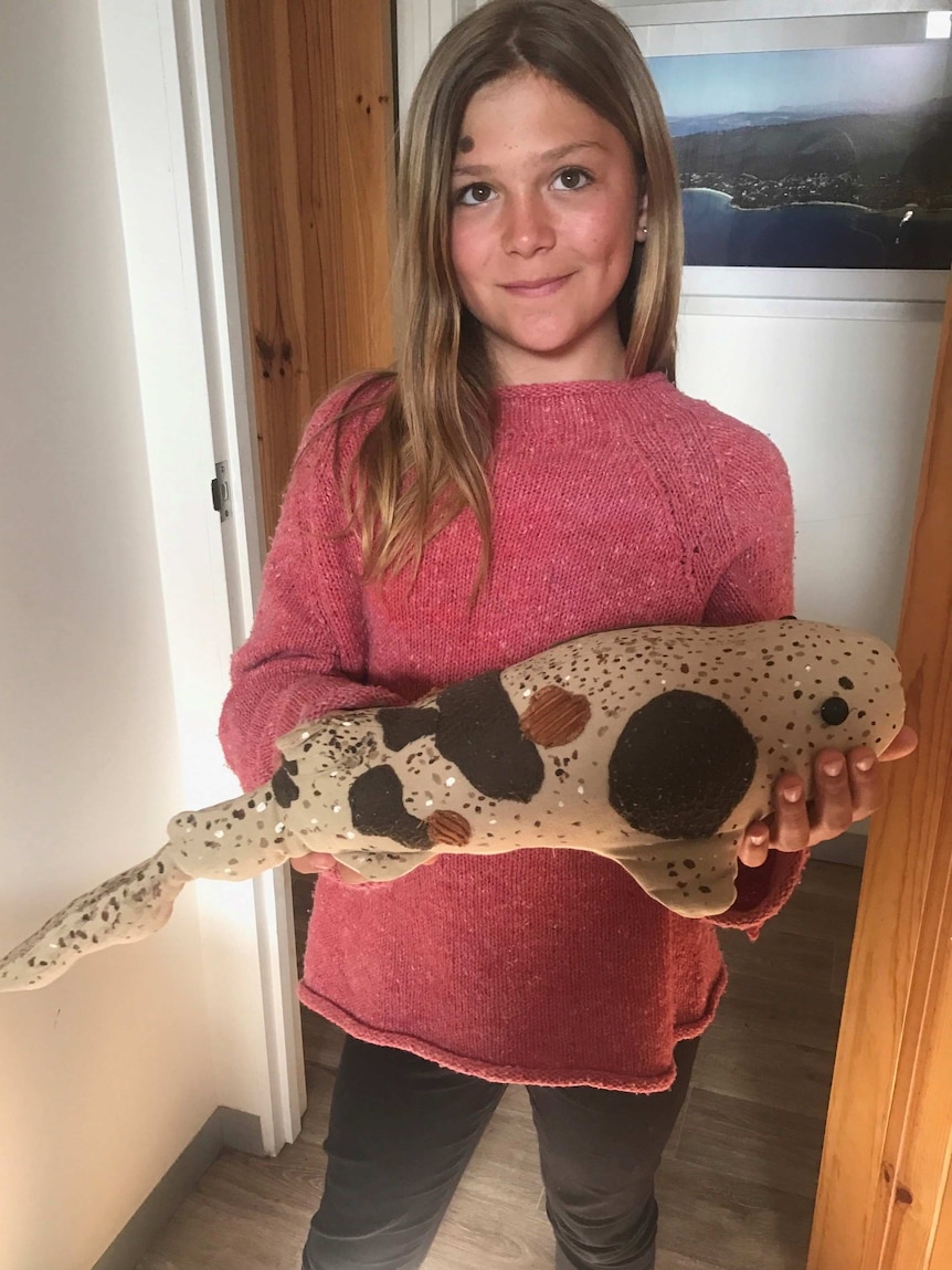 A young girl holding a soft toy shark.