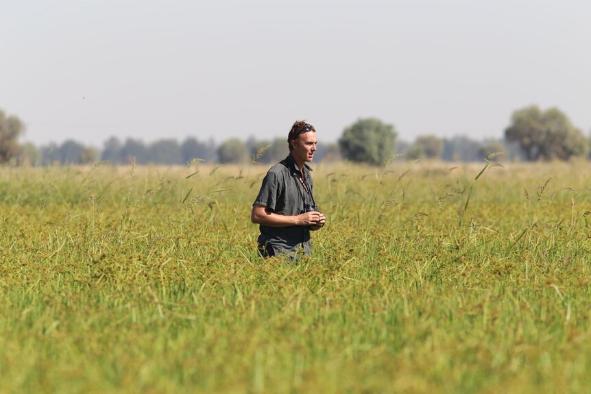 A man walks through a field