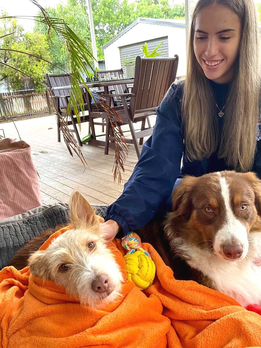 Jennifer Board with two dogs wrapped in an orange blanket