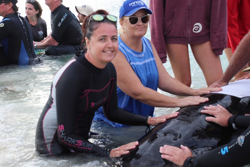 Two women stand in shallow water alongside a stranded pilot whale.
