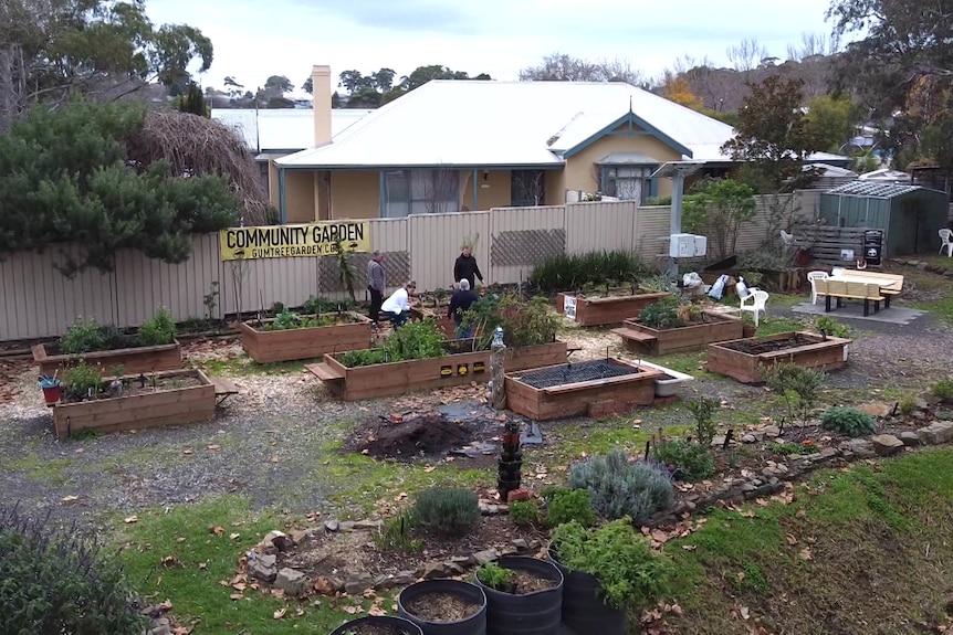 A community garden with a house behind in a drone photo