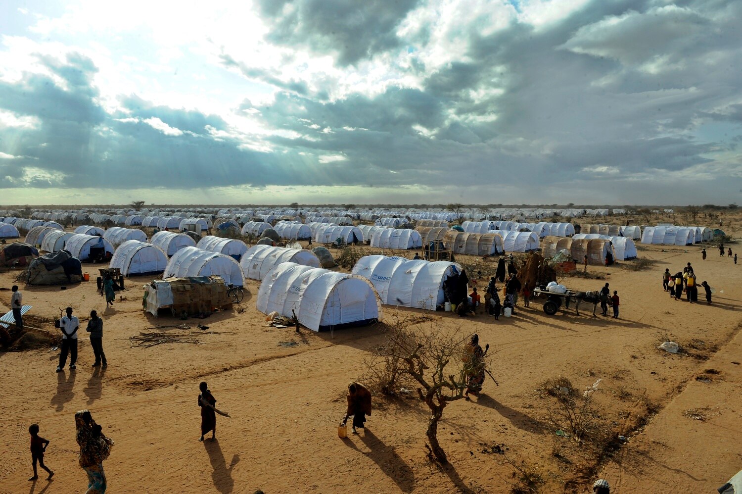 Refugee Camps Overflowing In Africa Crisis - ABC News