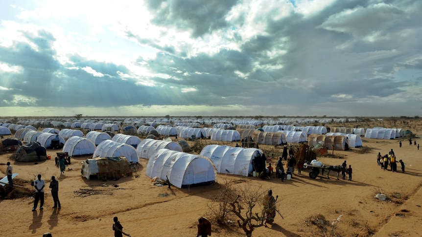 Each day hundreds of Somali refugees are spilling into Dadaab in Kenya to flee famine and conflict in their home country