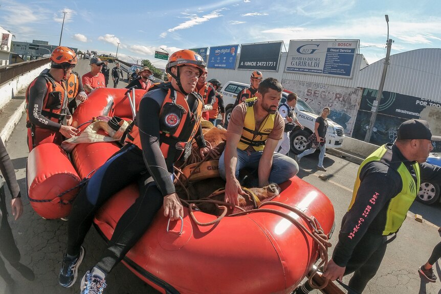 Image of rescue workers carrying an orange raft with a horse in it, down a street. They wear lifevests and helmets.