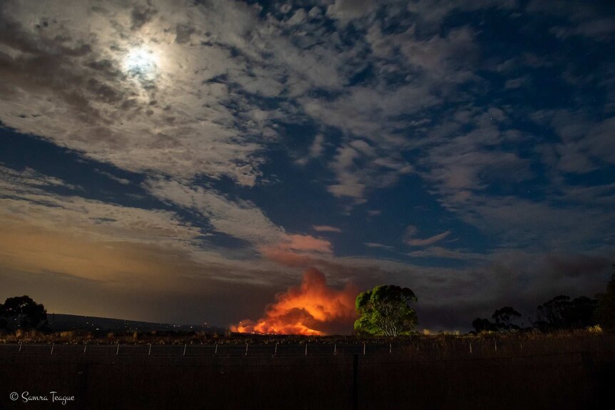 Adelaide Hills ablaze amid Cherry Gardens bushfire.