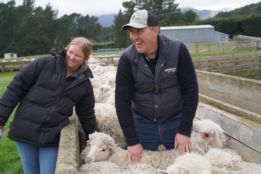 Woman and man in warm clothing amongst the sheep they're working with. 