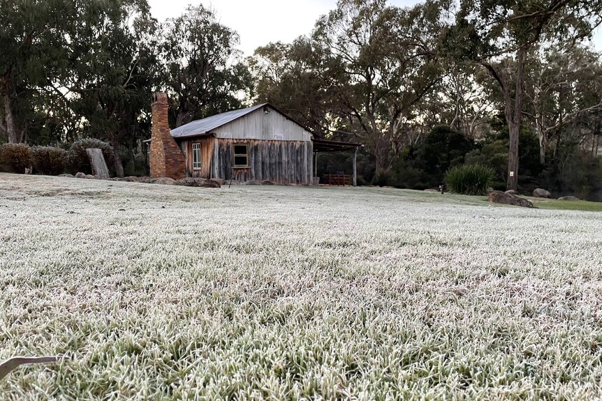 Frost outside Diamondvale Cottages in Stanthorpe, ice on the grass and an old wooden cottage in the background