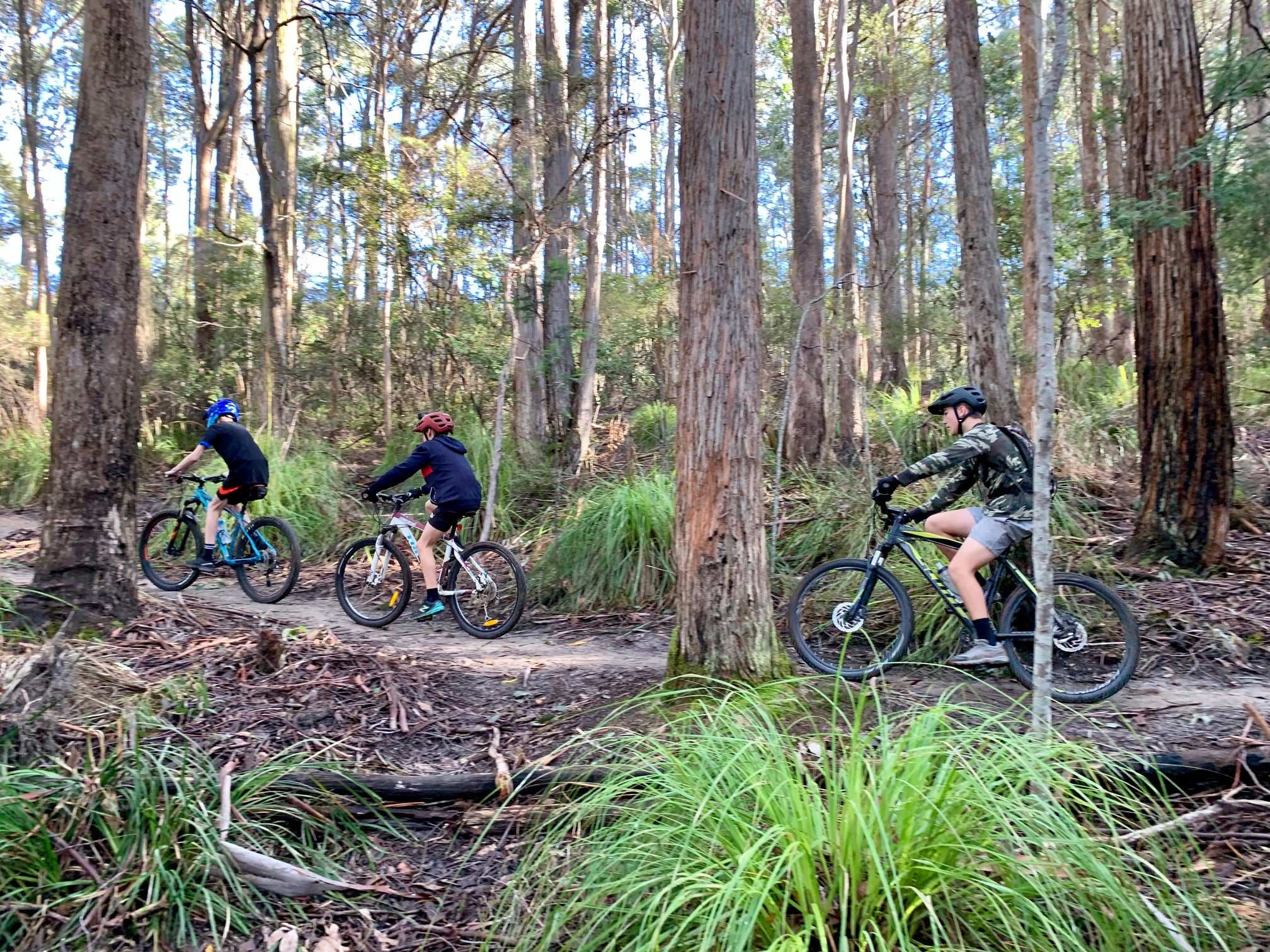 Railton hopes to top topiary with a mountain bikeled revival in Tasmania's northwest ABC News