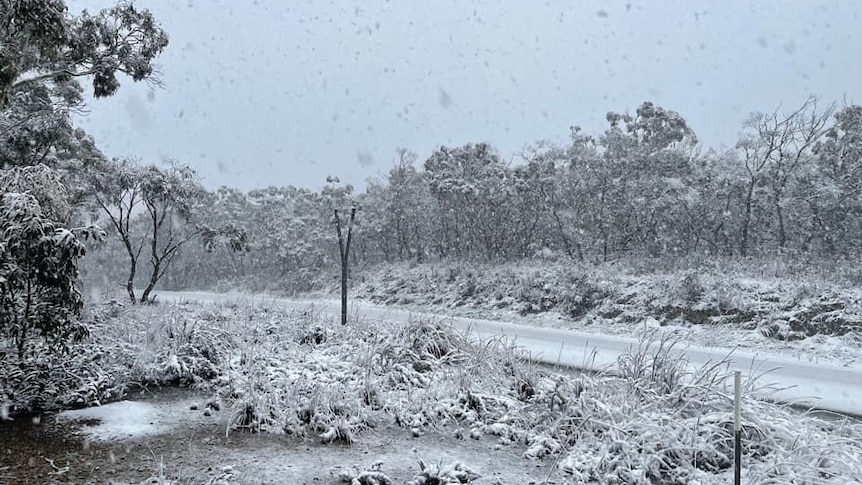 Snow in Bungendore NSW