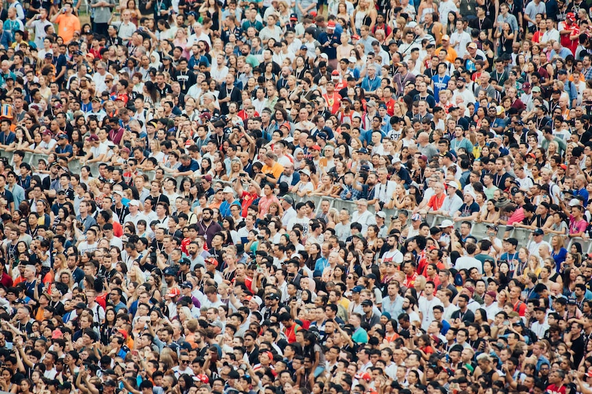 Aerial view of crowd of people gathering