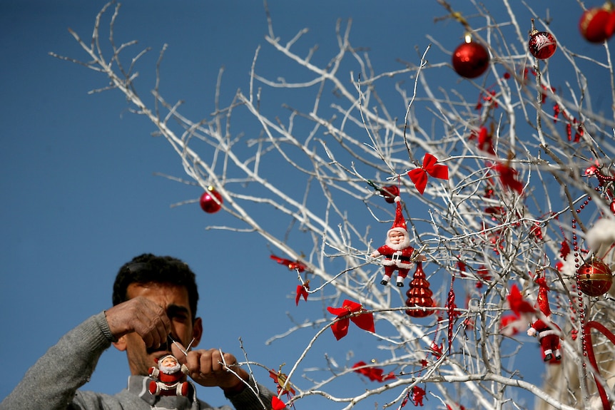 Palestinian man decorates a Christmas tree