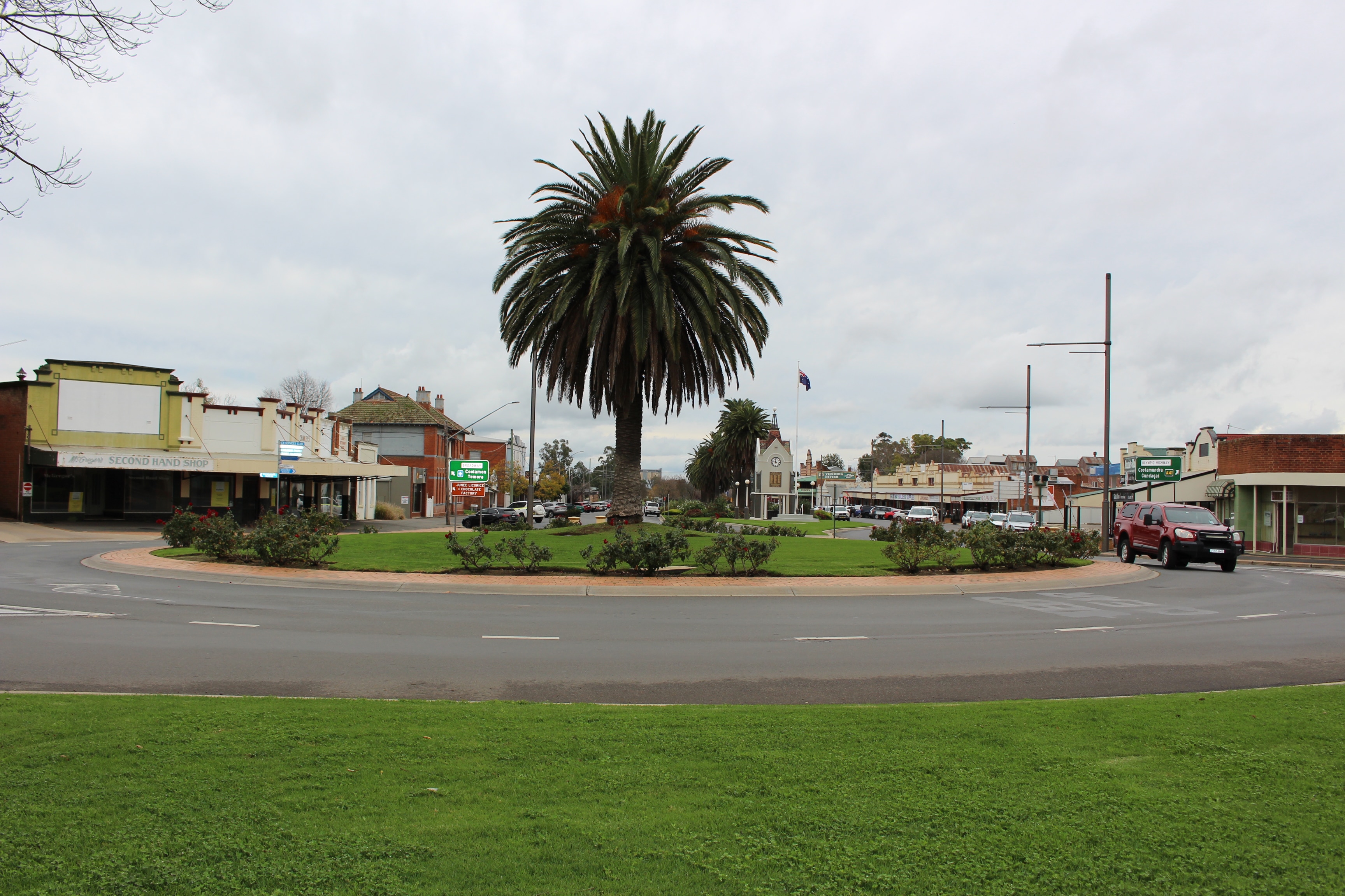 A roundabout with green grass and roses and a palm tree in the middle