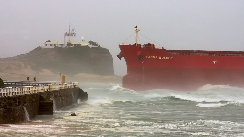 Pasha Bulker sits on Nobbys Beach