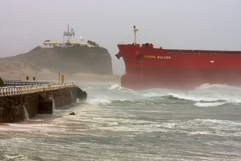 Pasha Bulker sits on Nobbys Beach