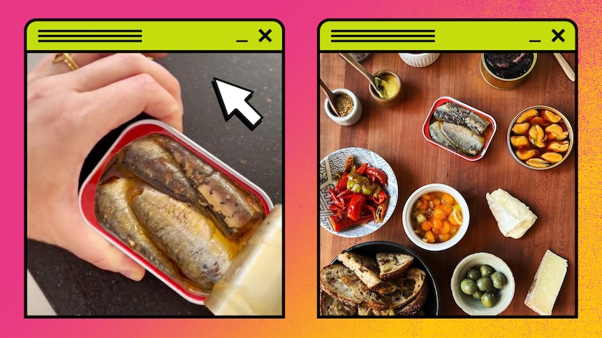 Screen grabs from two TikTok videos featuring tinned fish are seen cut out against a pink and yellow gradient background. 