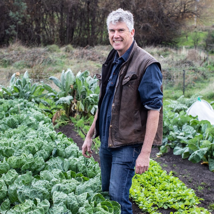 Matthew Evans in crop of cabbage and other vegetables
