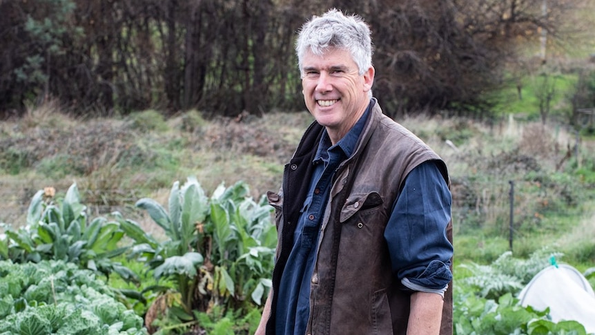 Matthew Evans in crop of cabbage and other vegetables