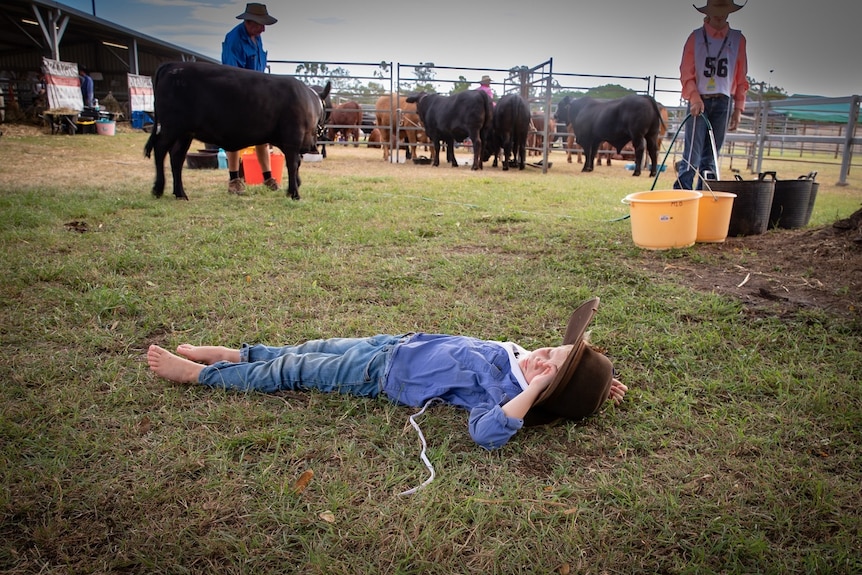 Young boy in jeans, blue shirt and hat lying on the grass, cattle and people in background. 