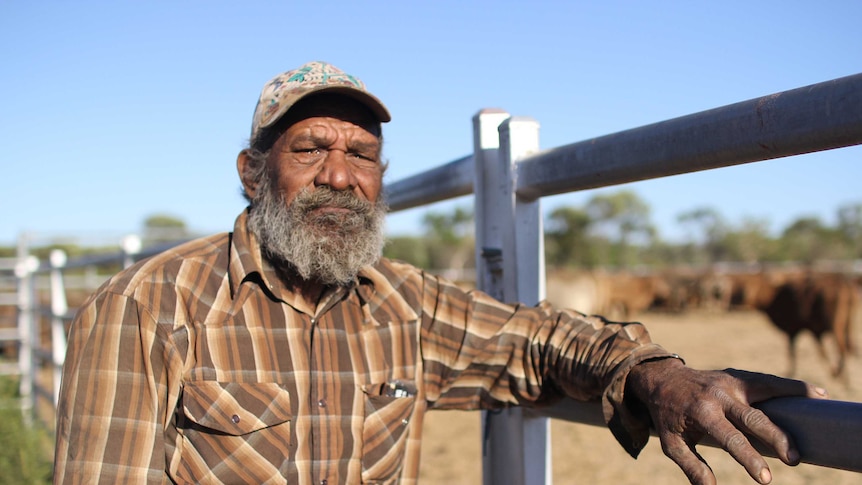 a man standing in front of cattle yards