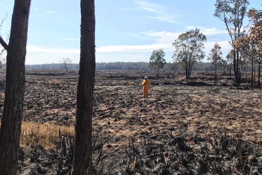 Fire ravaged landscape with a figure in  the distance wearing yellow protective suit.