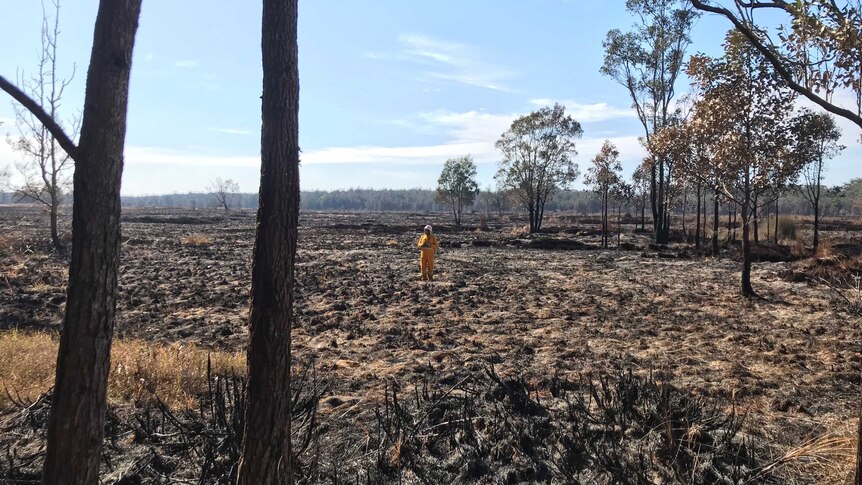 Fire ravaged landscape with a figure in  the distance wearing yellow protective suit.
