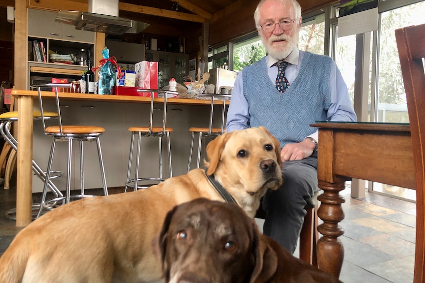 An old man with a grey beard feeds his dogs