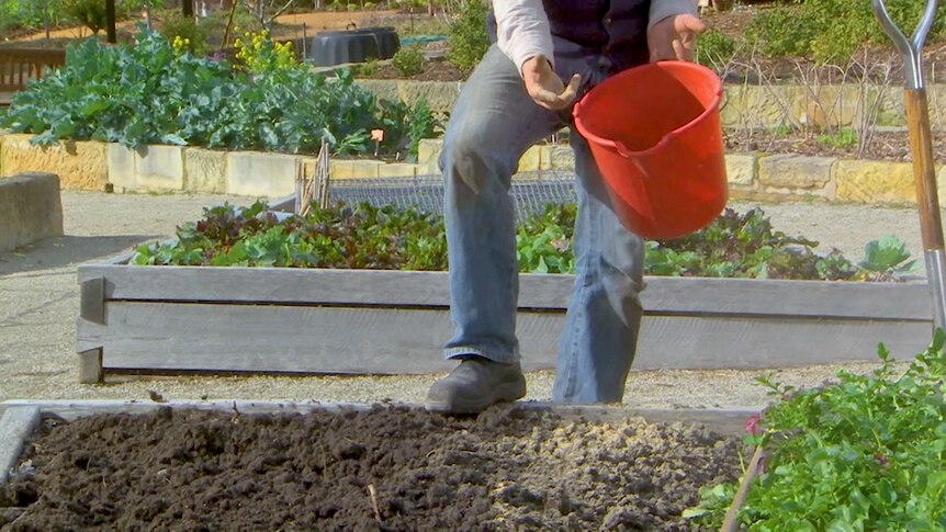 Woman holding a bucket standing with one leg on a garden bed
