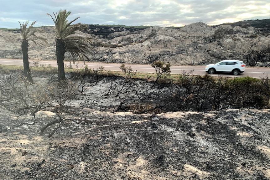 Sand dunes with ash on them, a car drives past