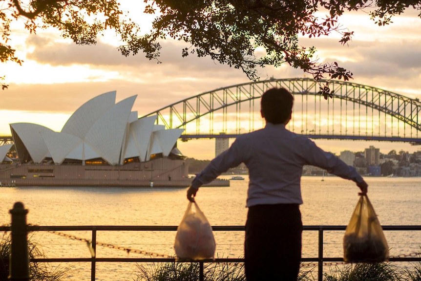 A young child standing in the front of Sydney Harbour while protesting.