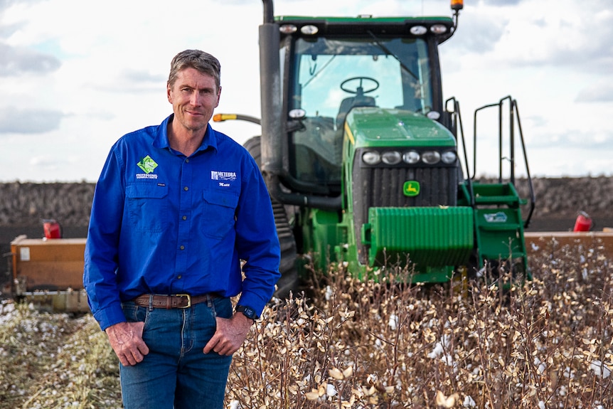 Agronomist Matthew Holding stands in a cotton crop with a tractor behind him.